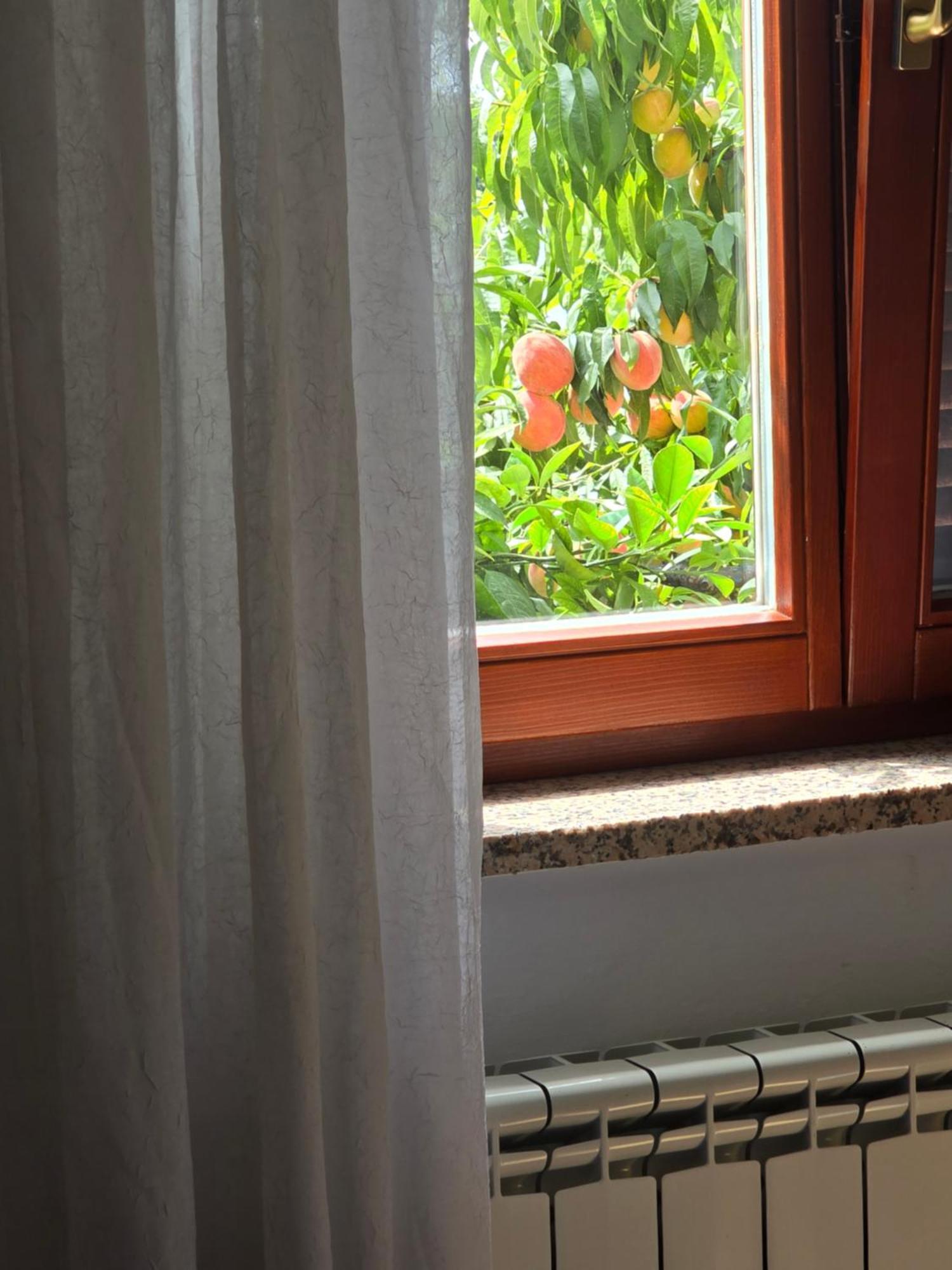 Apartman Barbara Bibinje Kültér fotó